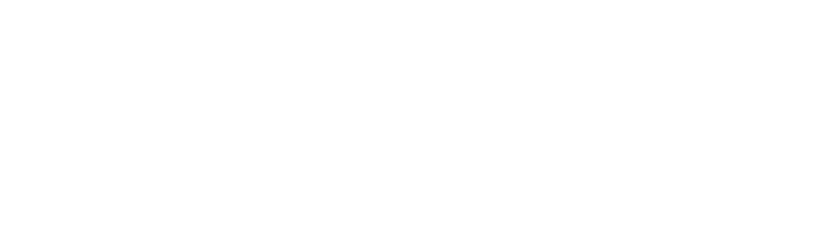 microsoft-partner